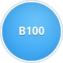 Bionafta B100